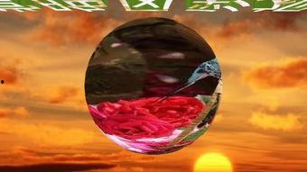 3d金梅在线观看 第2张 3d金梅在线观看 第2张